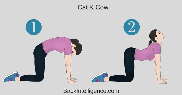 5 Exercises To Help Fix Low Back Pain & Stiffness — California