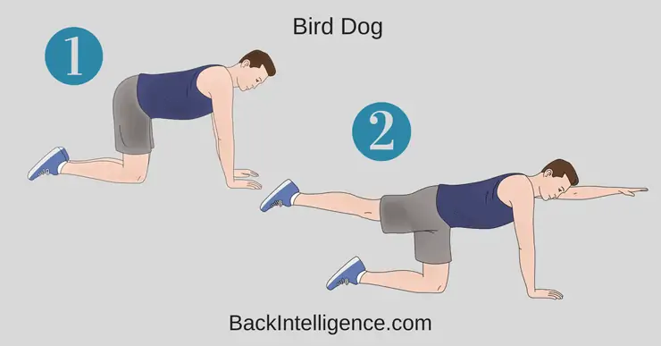 disc herniation exercises