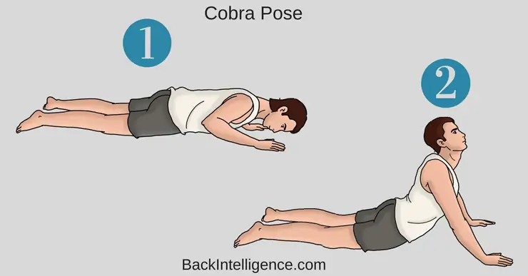 5 Exercises for Low Back Pain and Sciatica