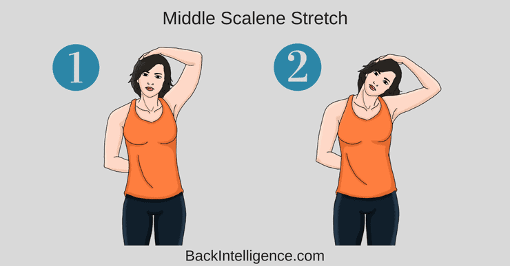 Scalene muscle 2025 strengthening exercises