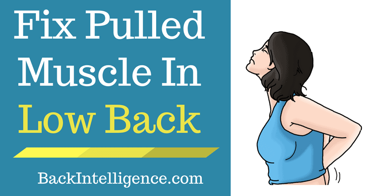 Exercises for pulled muscle in lower back new arrivals