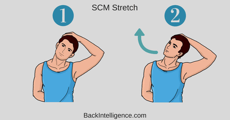 How to Solve Stiff Neck Issues - Muscle Mechanics LTM