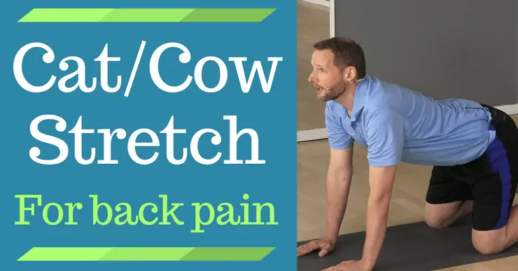 Instantly Ease Back Pain With This One Yoga Pose