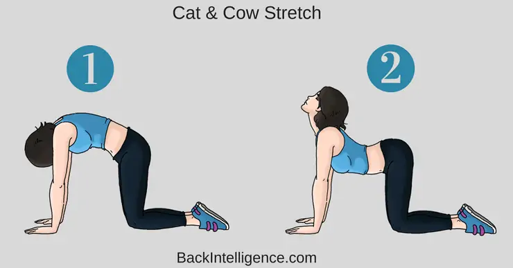 10 Posture Correction Exercises - Upper & Lower Back