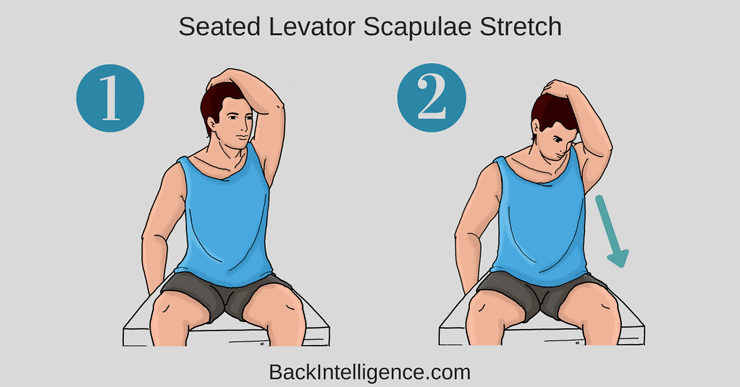 Levator Scapulae Release And Exercises (Instant Neck Pain Relief)