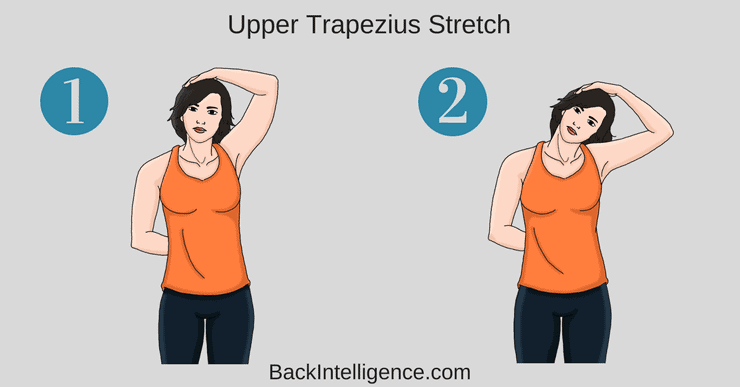 Upper trapezius stretch