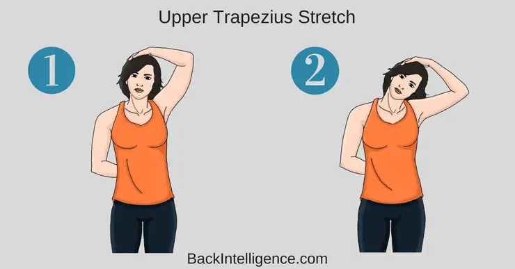 Upper trapezius and Scalene Stretch