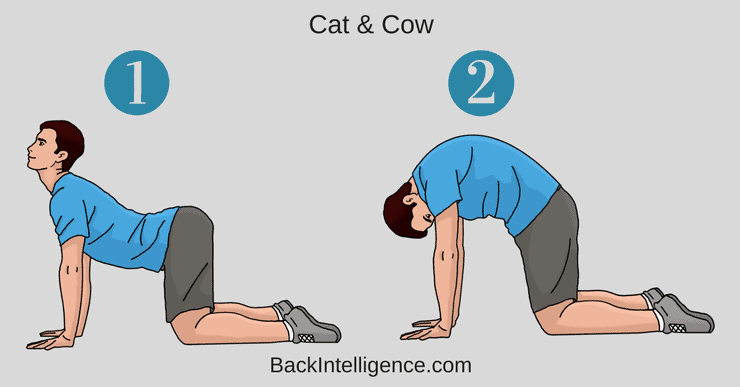 Tailbone Pain Relief With 10 Exercises That You Can Do