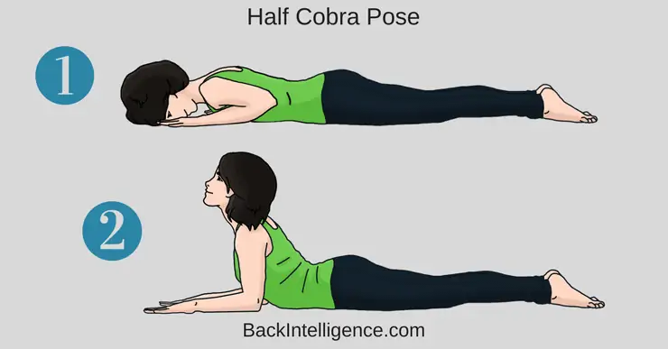 8 Sciatica Stretches & Exercises for Pain Relief - Tua Saúde