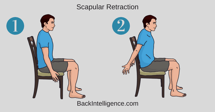 Scapular Retraction