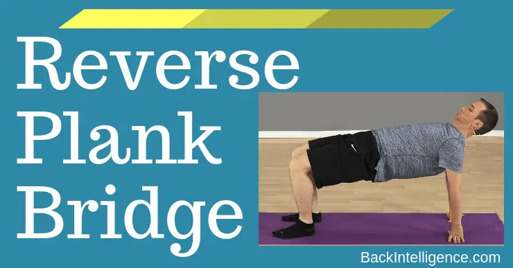 Back plank online exercise