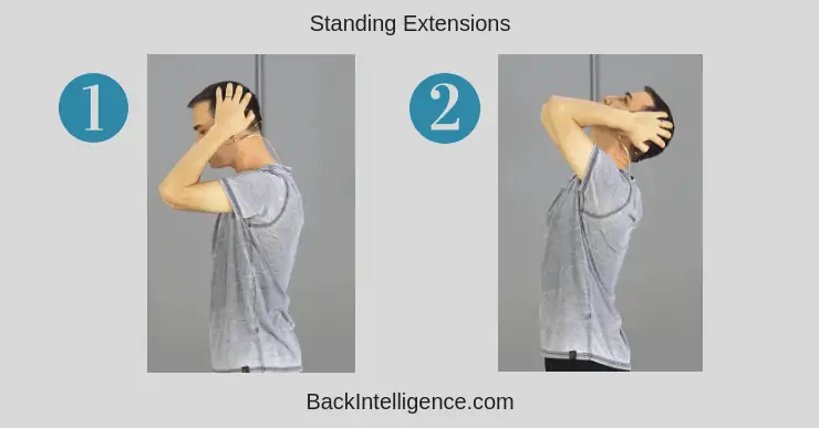 Standing Thoracic Extensions