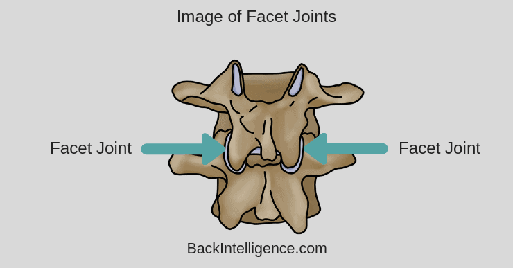 lumbar spine joints