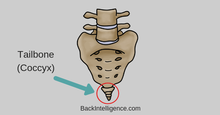 Seks C Extreme Tailbone Pain