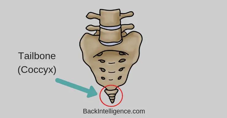 5 Ways To Relieve Tailbone Pain (Coccydynia) - Back Intelligence