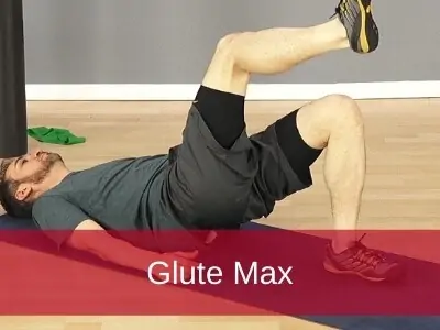 Glute max