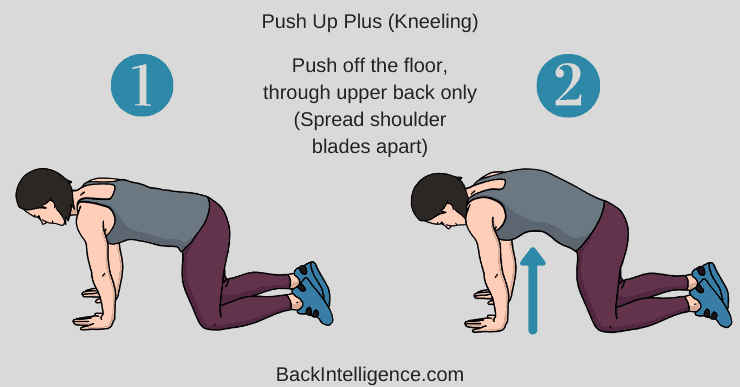 Scapular muscle strengthening online exercises