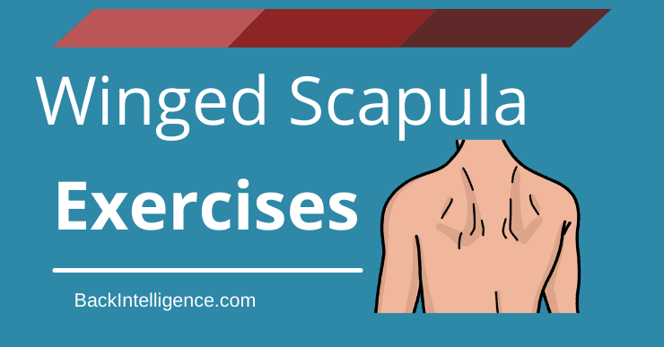 Winged Scapula Exercises