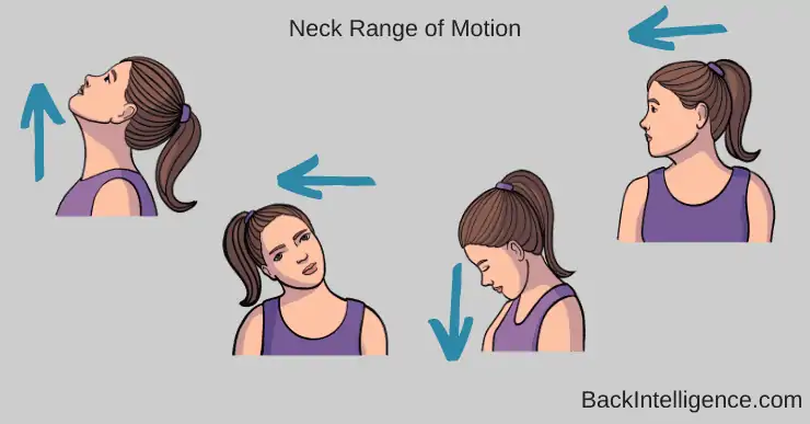 Neck range of motion