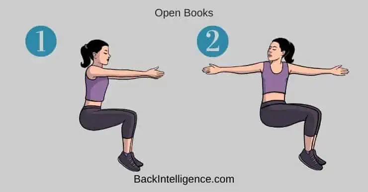 Rhomboid Muscle Pain Relief Exercises Back Intelligence