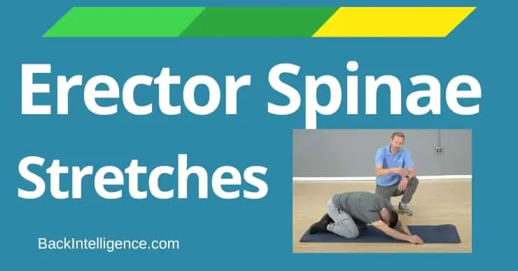 Erector spinae 2025 muscles stretch